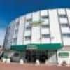 Holiday Inn London Heathrow Ariel