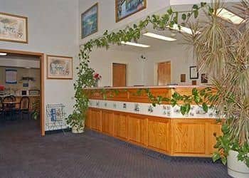 Comfort Inn Cottage Grove
