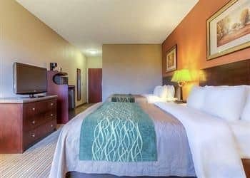 Comfort Inn & Suites Cave City