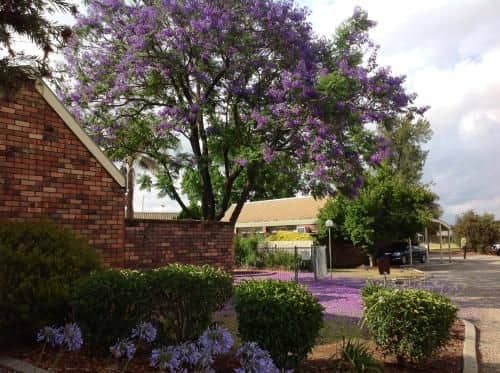 Belvoir Village Motel & Apartments Wodonga Belvoir Village Motel & Apartments Wodonga