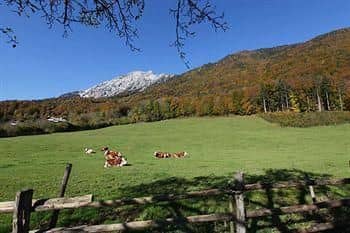 Hotel Garni Gablerhof