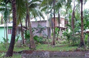 Palm Grove Eco Resort