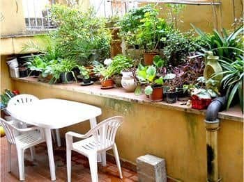 Stella's House