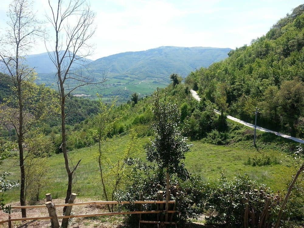 La Brombolona
