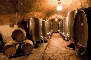 Agriturismo Pietrafitta