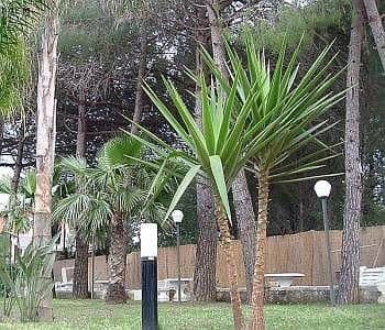 Hotel Sogaris