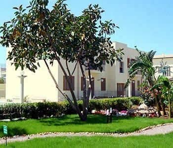 Le Palme di Conturrana Tropicale