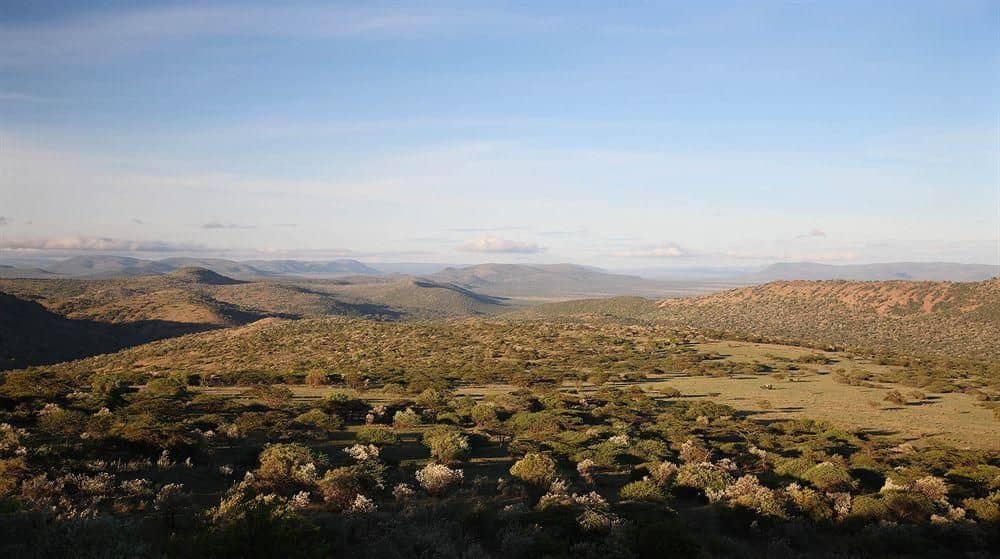 Olarro Olarro