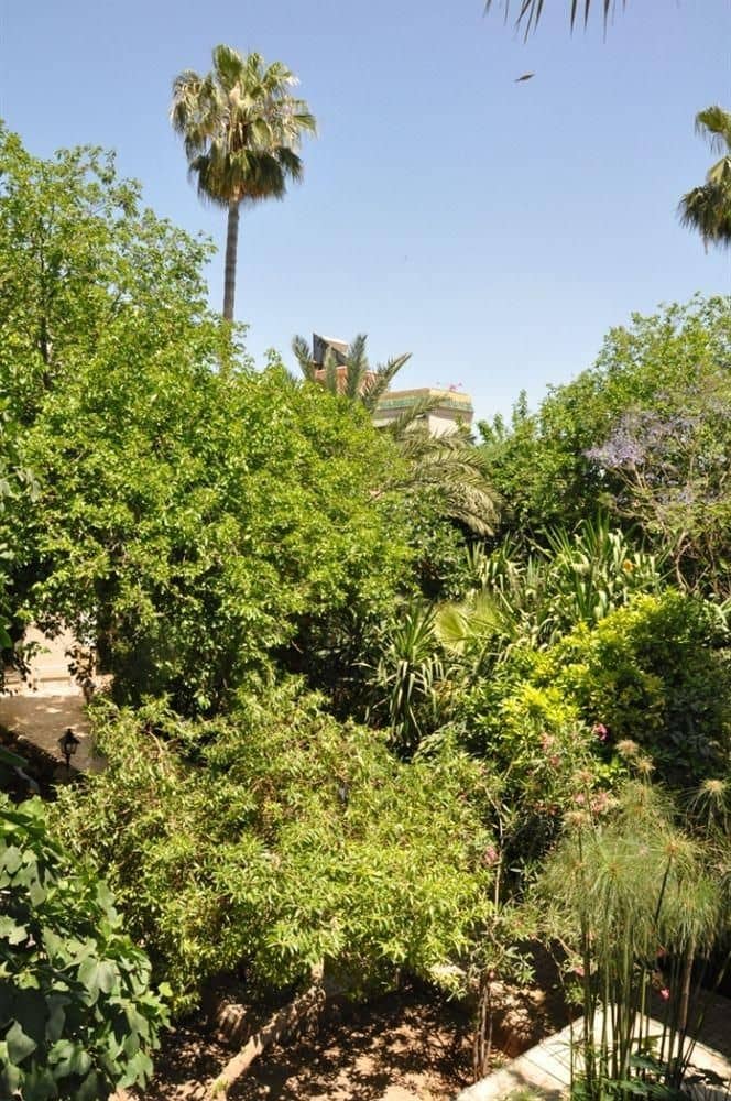 Riad El Arsat