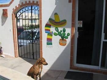 Cabo's Little Secret Condos Cabo's Little Secret Condos