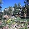 Slopeside Condos Mountain House