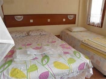 Rose Pension Rose Pension