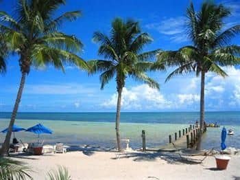 Yellowtail Inn