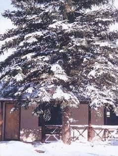 Laguna Vista Lodge Eagle Nest
