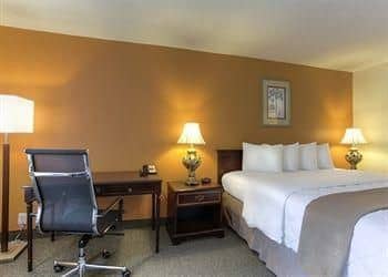 Quality Inn Quality Inn