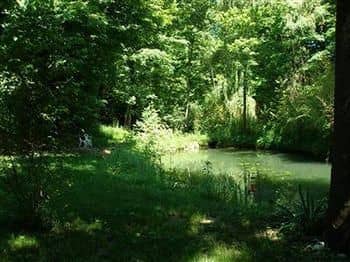 Dove Nest Bed and Breakfast