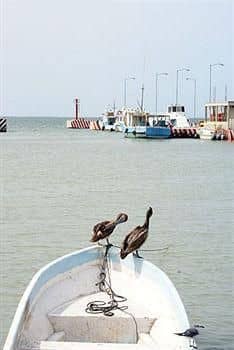 Maya Inn Holbox Maya Inn Holbox