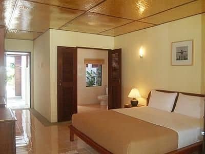 D Coconut Lagoon
