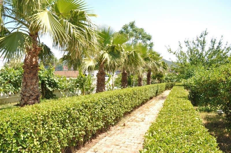 Magic Garden Resort