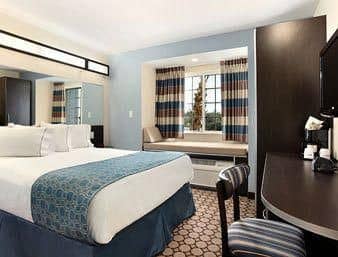 Microtel Inn And Suites Weeki Wachee/spring Hill Microtel Inn And Suites Weeki Wachee/spring Hill