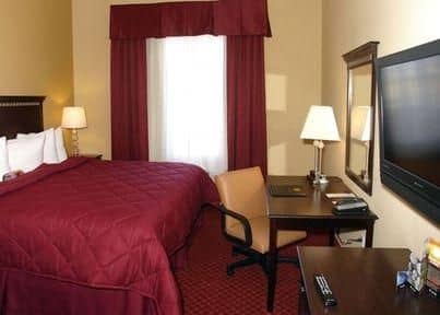 Comfort Inn & Suites Maingate South Comfort Inn & Suites Maingate South