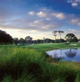 Belleview Biltmore Resort, Golf Club and Spa