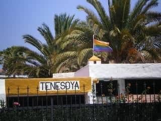Tenesoya Tenesoya