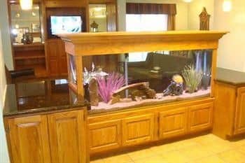 Select Inn Lewisville