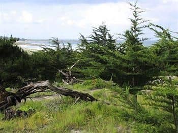 Asilomar Conference Grounds Asilomar Conference Grounds