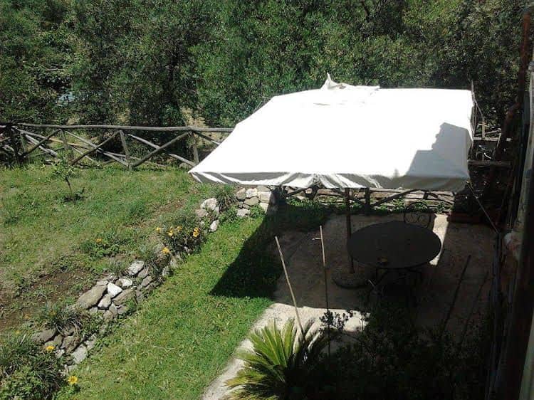 Gli Ulivi Gli Ulivi