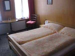 Hotel Bellevue Pinte