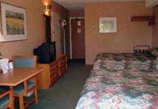 Comfort Inn Comfort Inn