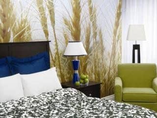 Indigo Ottawa Indigo Ottawa
