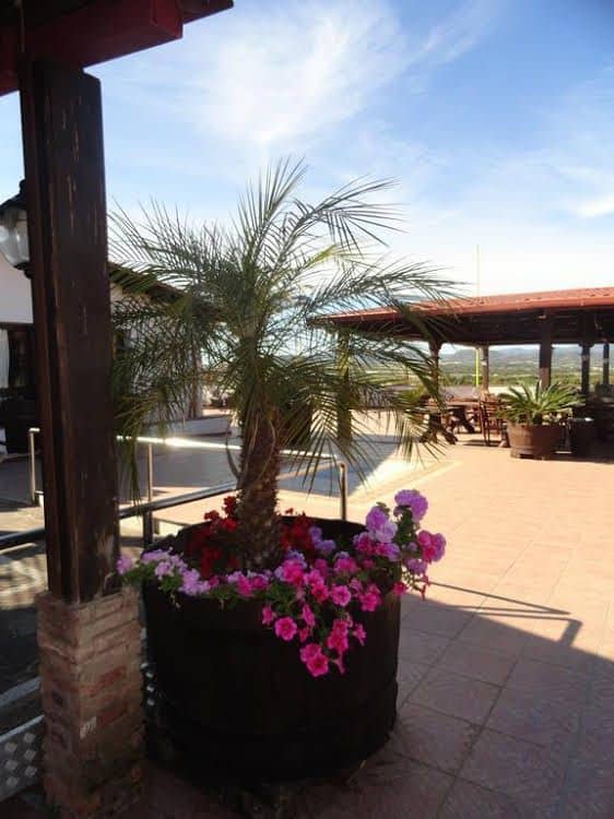 Tanit Hotel Villaggio Ristorante Tanit Hotel Villaggio Ristorante