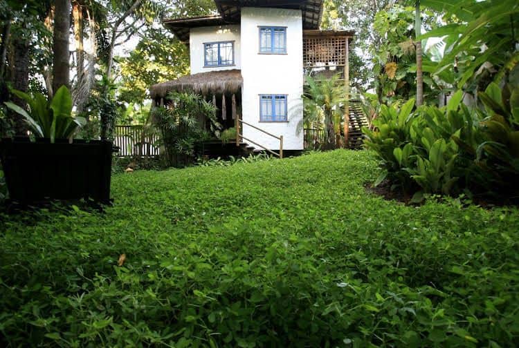 Pousada Burundanga Pousada Burundanga