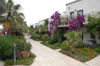 MiraLuna