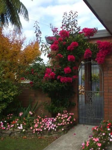 Havenlee Homestay Havenlee Homestay