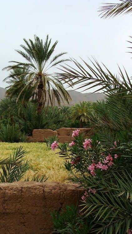 AppartHotel Khris Palace