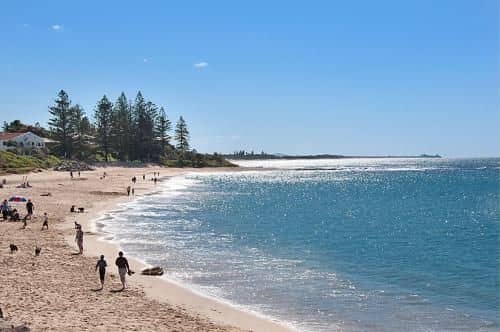 Norfolks on Moffat Beach Resort