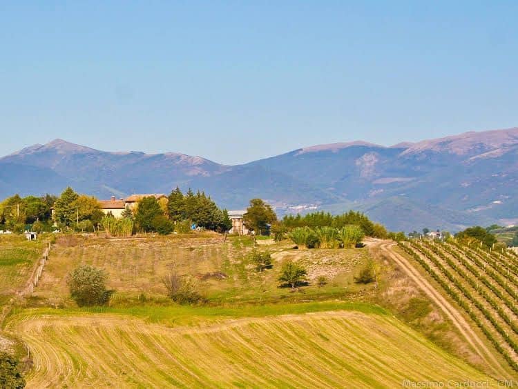 Agriturismo San Vito Agriturismo San Vito
