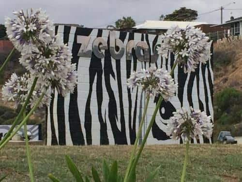 Zebras Guesthouse Zebras Guesthouse