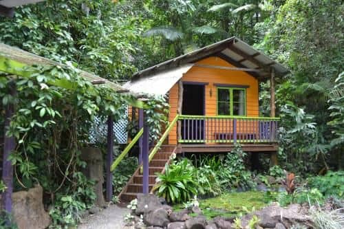 Rainforest Hideaway Rainforest Hideaway