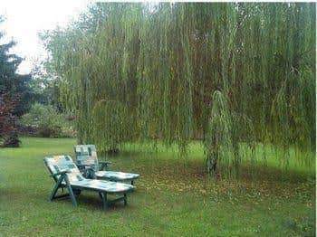 Bed & Breakfast Milu