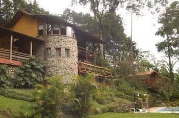 Bromelia Sabia & Cia Bromelia Sabia & Cia