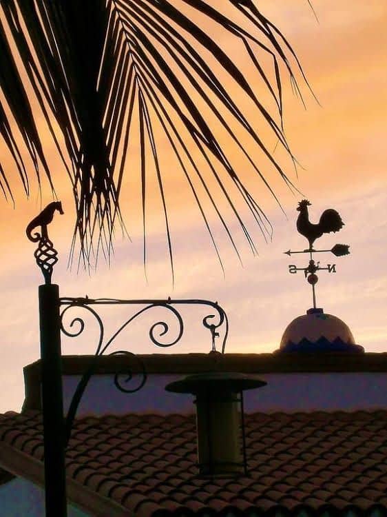 Hacienda Paraiso de La Paz Hacienda Paraiso de La Paz