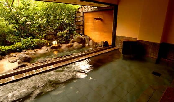 Mizu no Sato Marukyu Ryokan