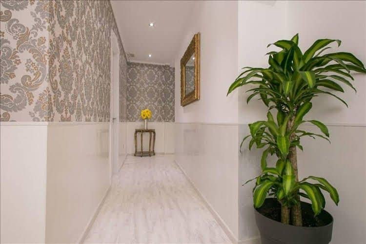 Hostal Central Palace Madrid Hostal Central Palace Madrid