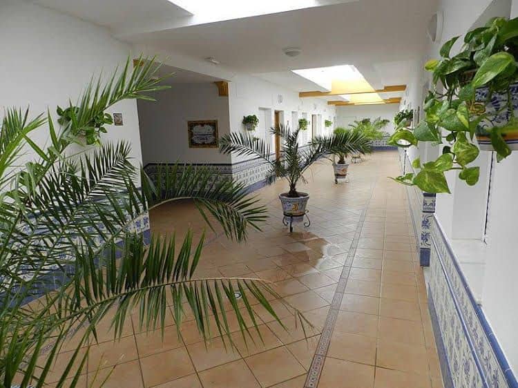 Apartamentos Conil Alquila Apartamentos Conil Alquila