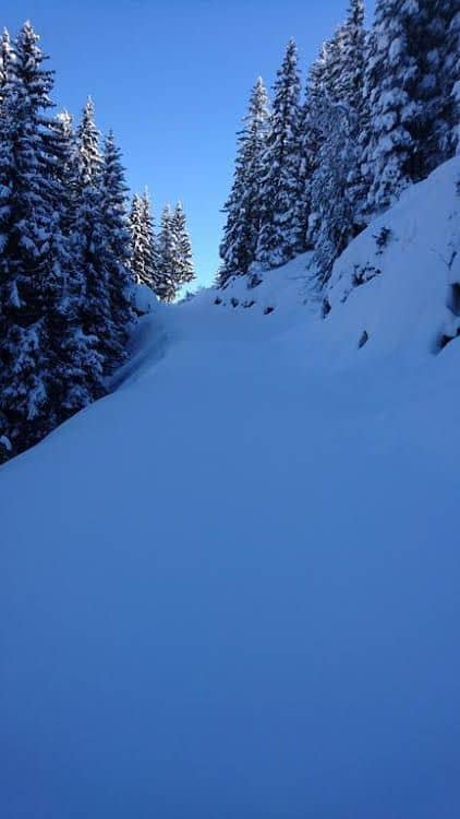 Appartements Rieser