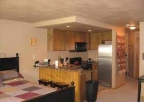 1 BR Condo Cozy Sleeps 4 - UVR 1102